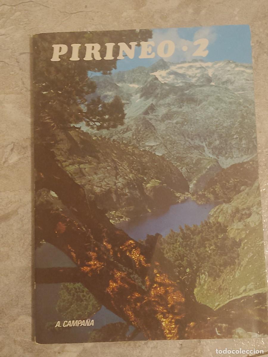 Libros de segunda mano: PIRINEO.2 GUIA TURISTICA