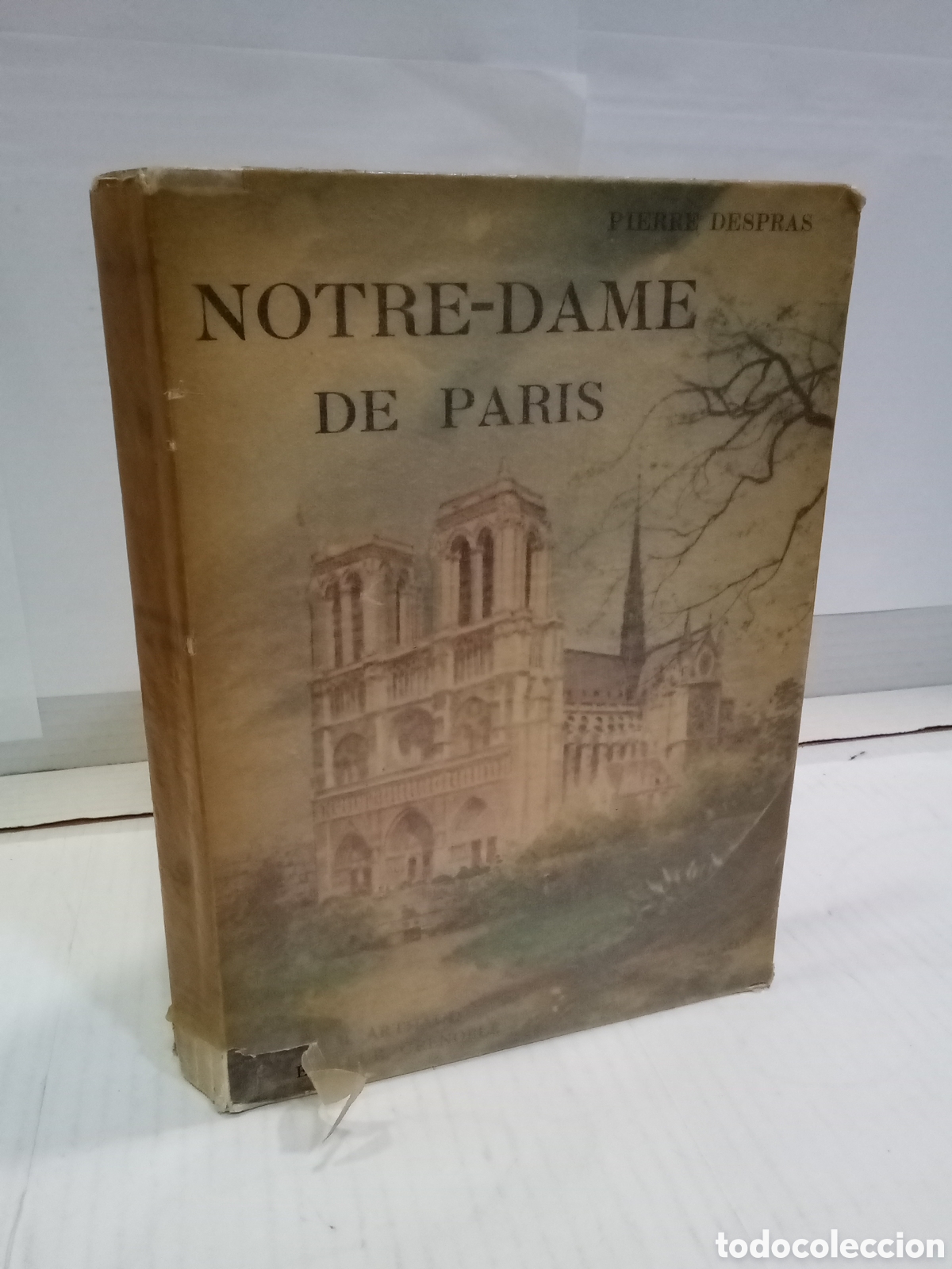 Libri di seconda mano: Notre-dame de Paris - Pierre Despras. 33 photos de Sougez