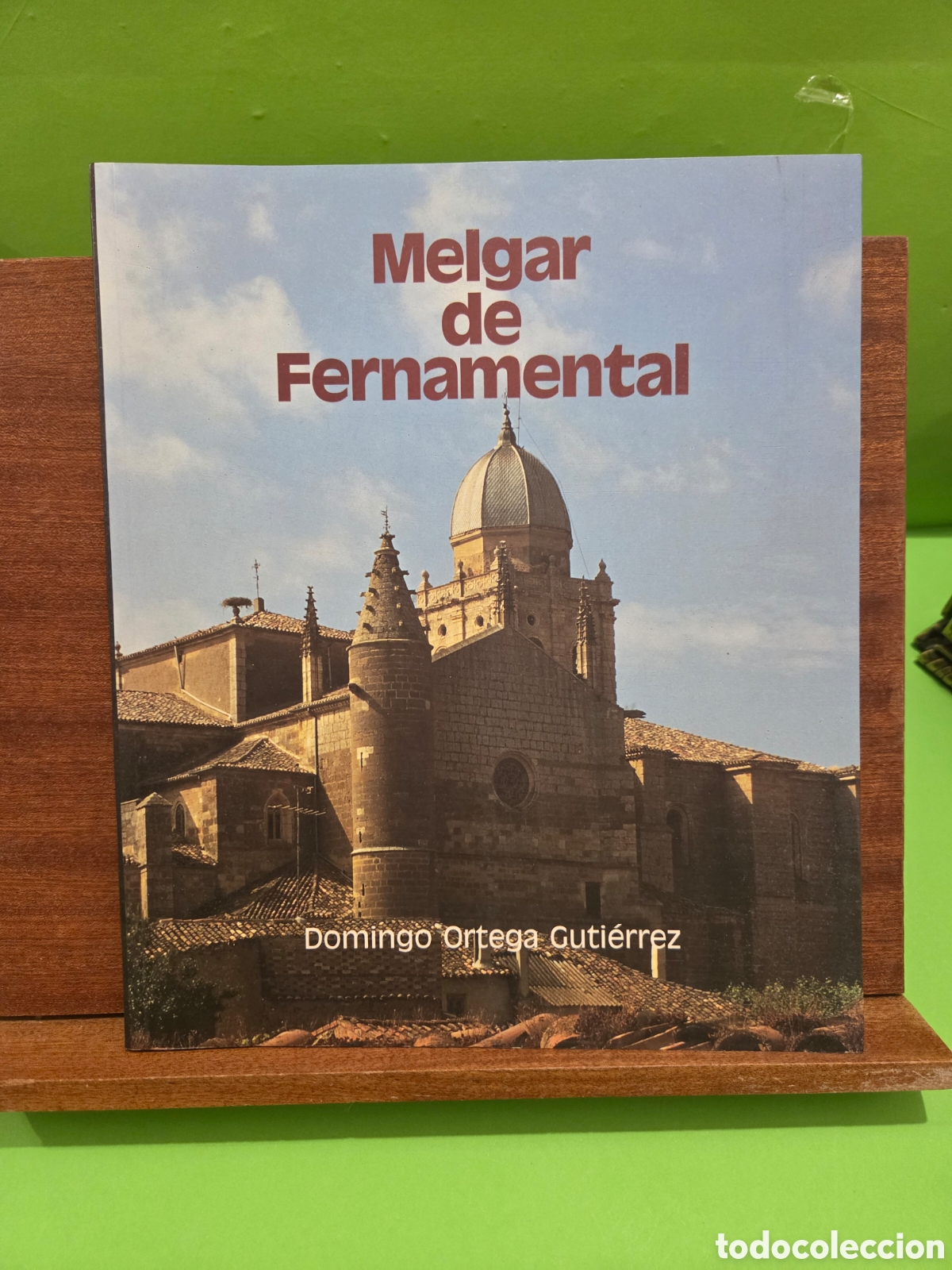 Libros de segunda mano: &rdquo;&rdquo;MELGAR DE FERNAMENTAL&rdquo;&rdquo;...BURGOS...DOMINGO ORTEGA GUTIERREZ...2004...