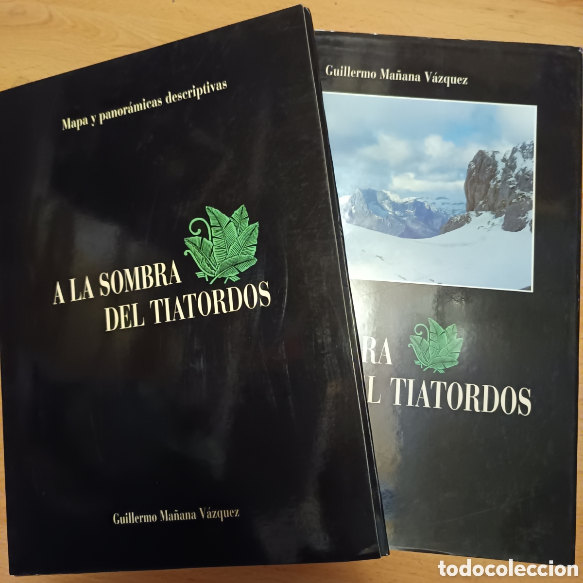 Gebrauchte B&uuml;cher: A LA SOMBRA DEL TIATORDOS. MA&Ntilde;ANA VAZQUEZ, Guillermo