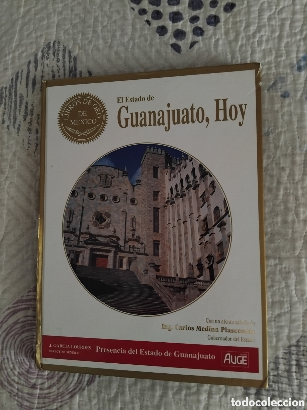 Libros de segunda mano: Guanajuato,hoy;Julio Garc&iacute;a-Lourdes/Martha Garagarza et al.;Libros de Oro de M&eacute;xico;1994