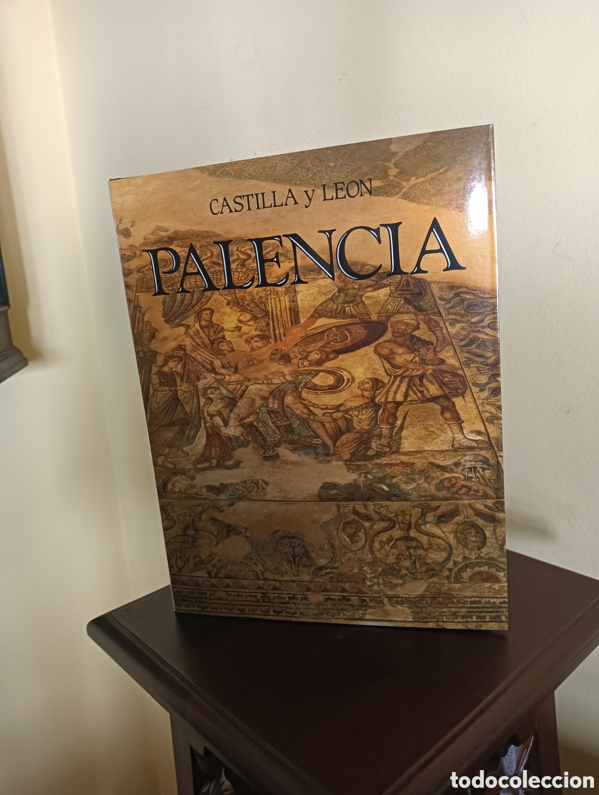 Libros de segunda mano: CASTILLA Y LEON PALENCIA EDITORIAL MEDITERRANEO 1991 TAPA DURA