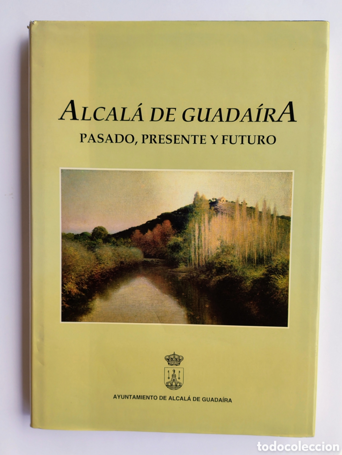 Libros de segunda mano: Alcal&aacute; de Guada&iacute;ra: pasado, presente y futuro Ayuntamiento de Alcal&aacute; de Guada&iacute;ra, 1995. ISBN: 84-891