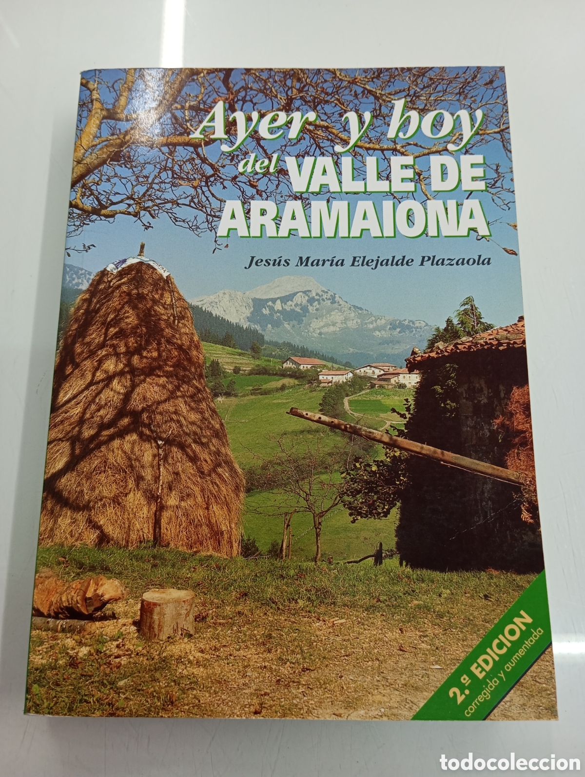 Libros de segunda mano: AYER Y HOY DEL VALLE DE ARAMAIONA ARAMAYONA Jes&uacute;s M&ordf; Elejalde Plazaola ALAVA CASERIOS HISTORIA VASCO