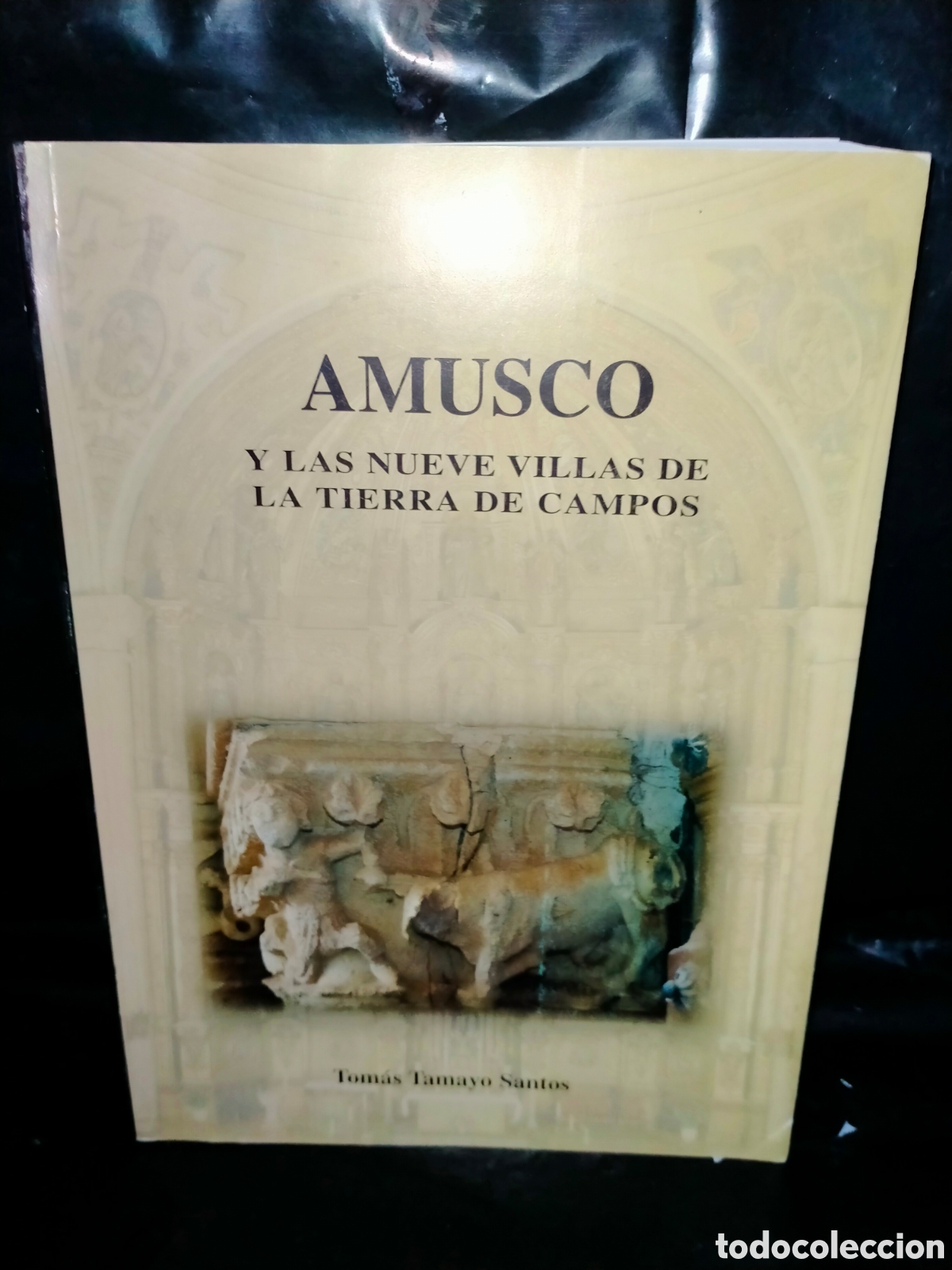 Libros de segunda mano: TOM&Aacute;S TAMAYO AMUSCO Y LAS NUEVE VILLAS DE LA TIERRA DE CAMPOS .AUTOEDICI&Oacute;N