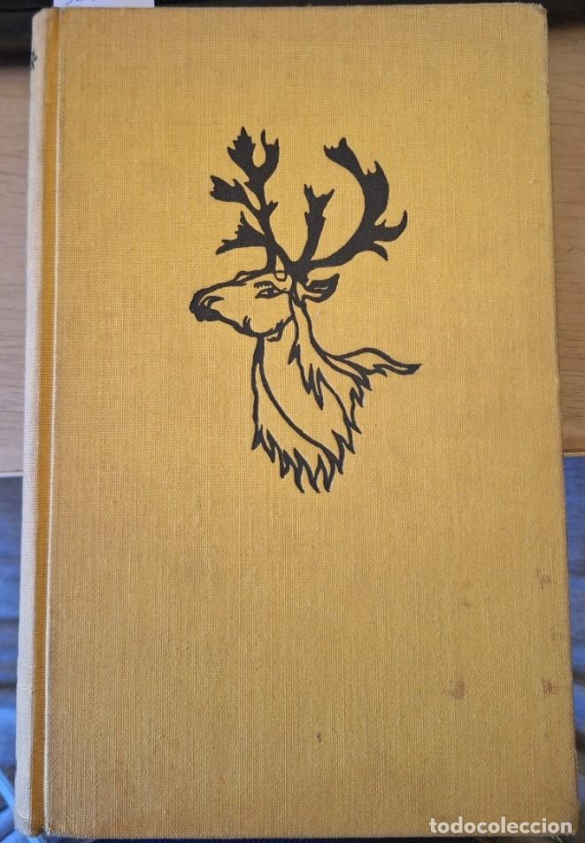 Libros de segunda mano: TRAS LOS RENOS DEL CANADA. PRIMERA EDICION. - MUNSTERHJELM, Erik.