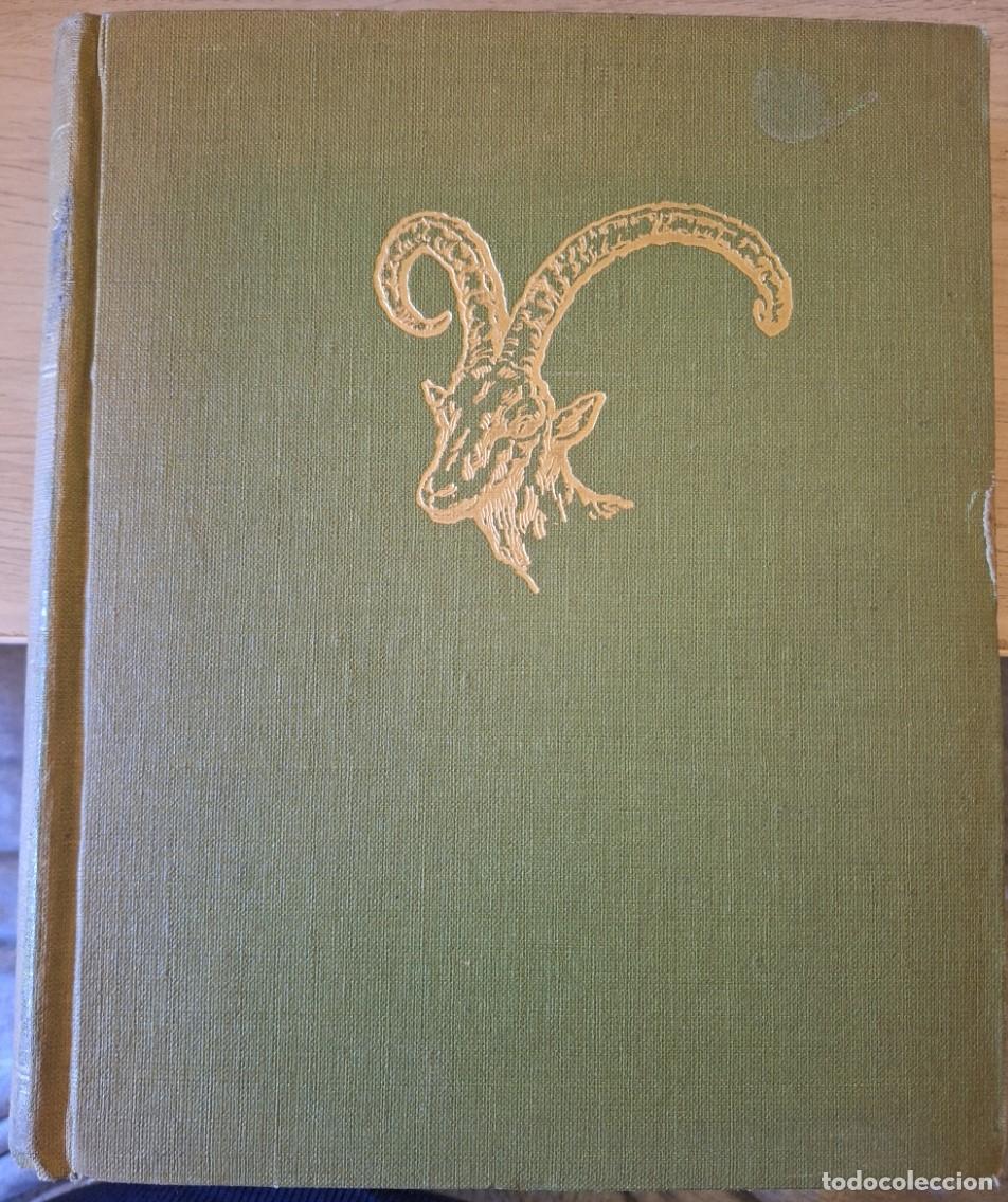 Libros de segunda mano: CACERIAS DE ALTA MONTA&Ntilde;A. PRIMERA EDICION. - SEEFRIED, Conde de.