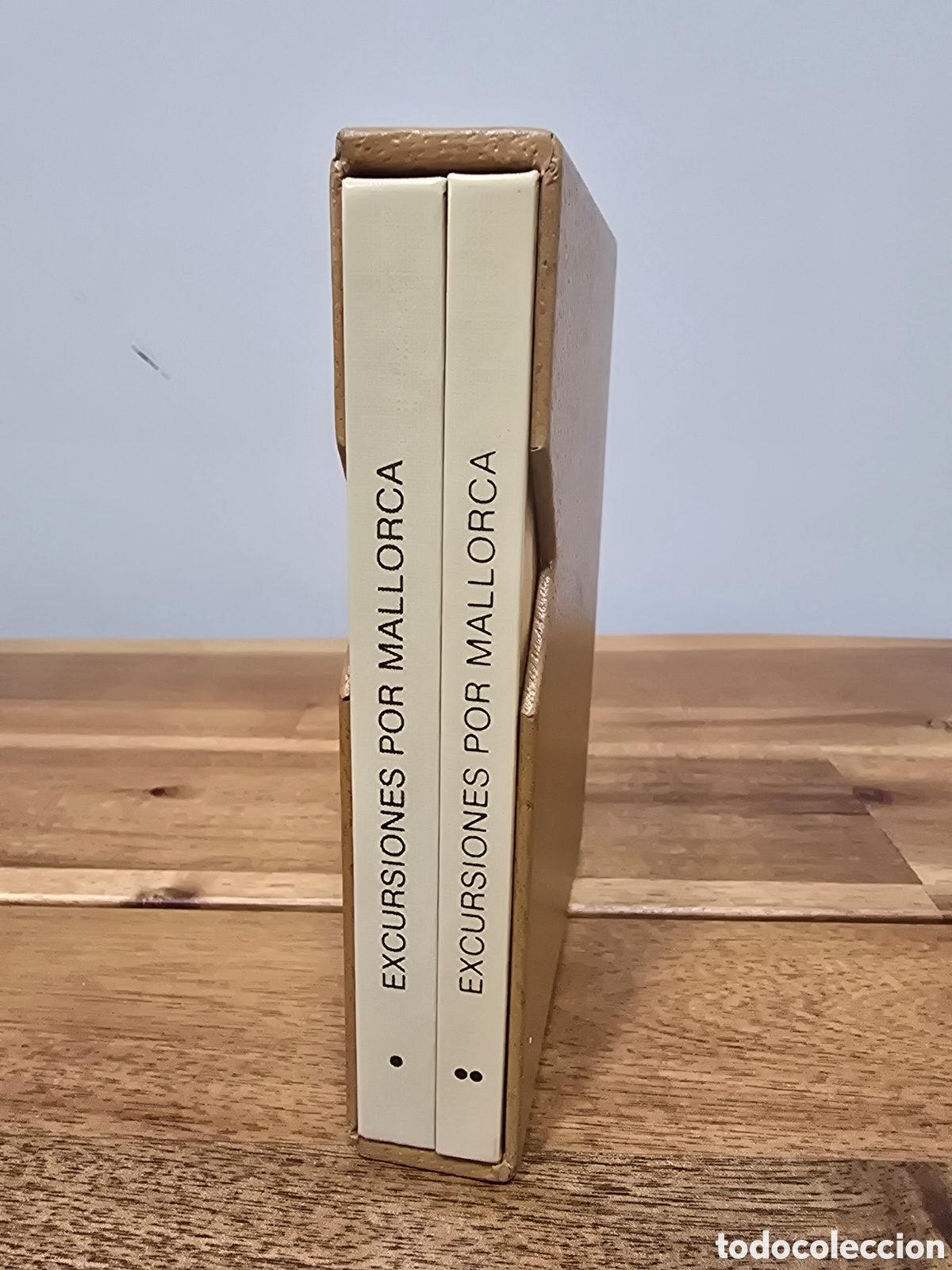Libros de segunda mano: EXCURSIONES POR MAYORCA 2 tomos 1989 Profesor Odon de Buen MIN. AGRICULTURA PESCA Y ALIMENTACION
