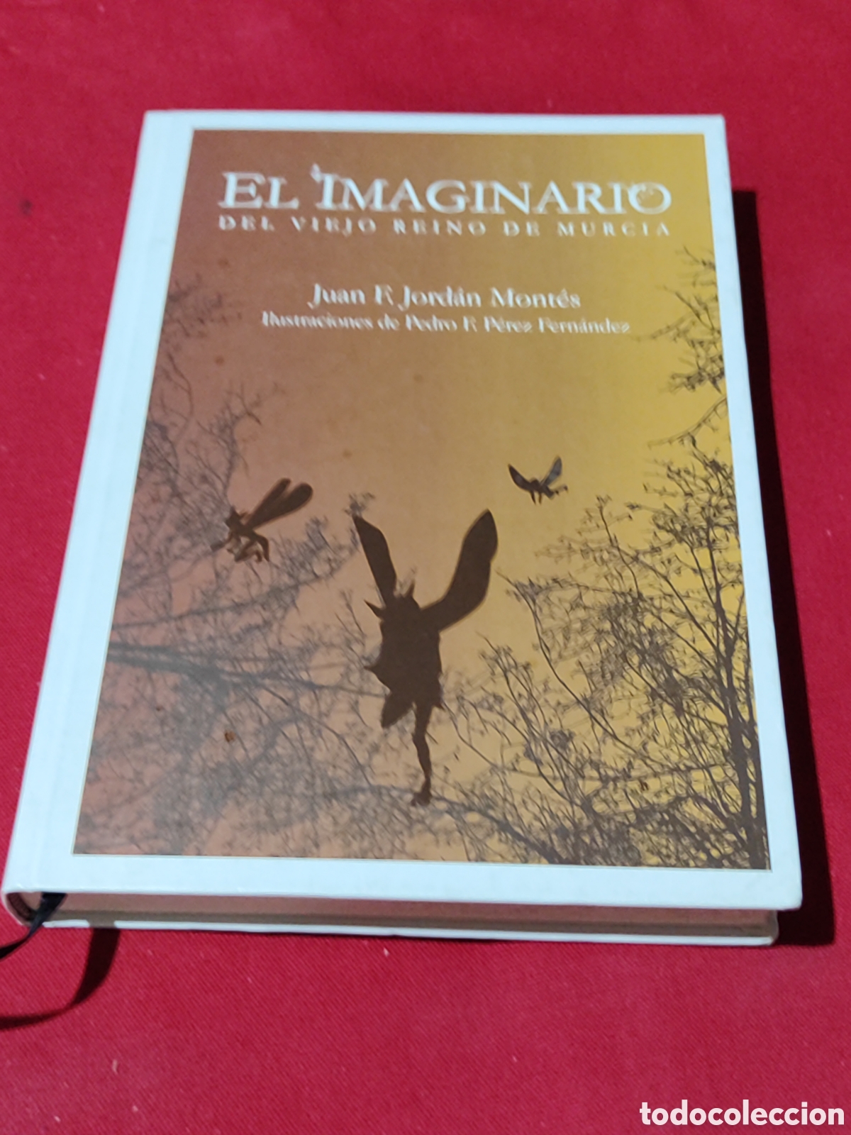 Libros de segunda mano: El imaginario del viejo reino de Murcia Juan f Jordan Mont&eacute;s