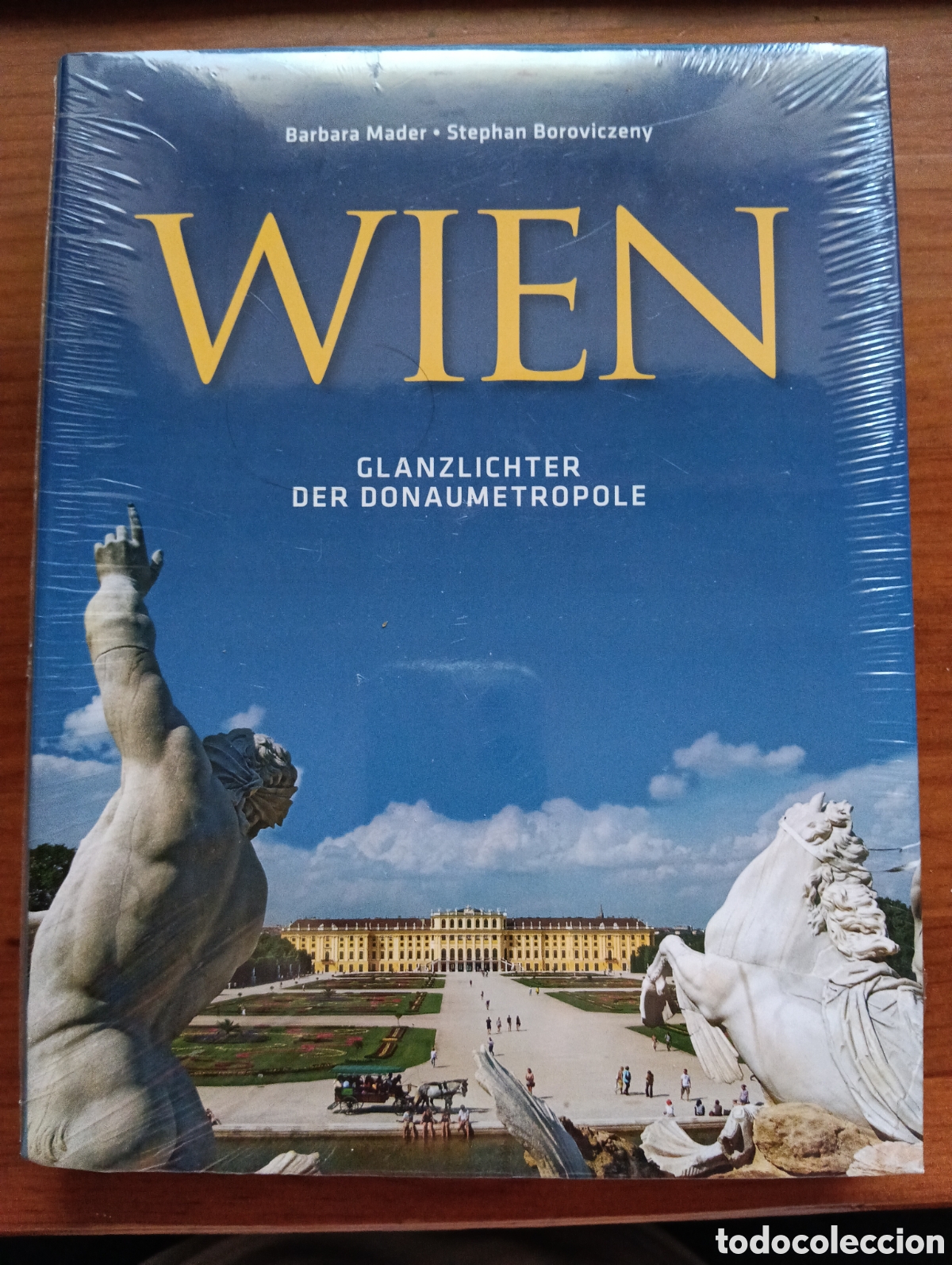 Libros de segunda mano: Wien, Glandzlichter Der Donaumetropole, Batrbara Mader, Stephan Boroviczeny