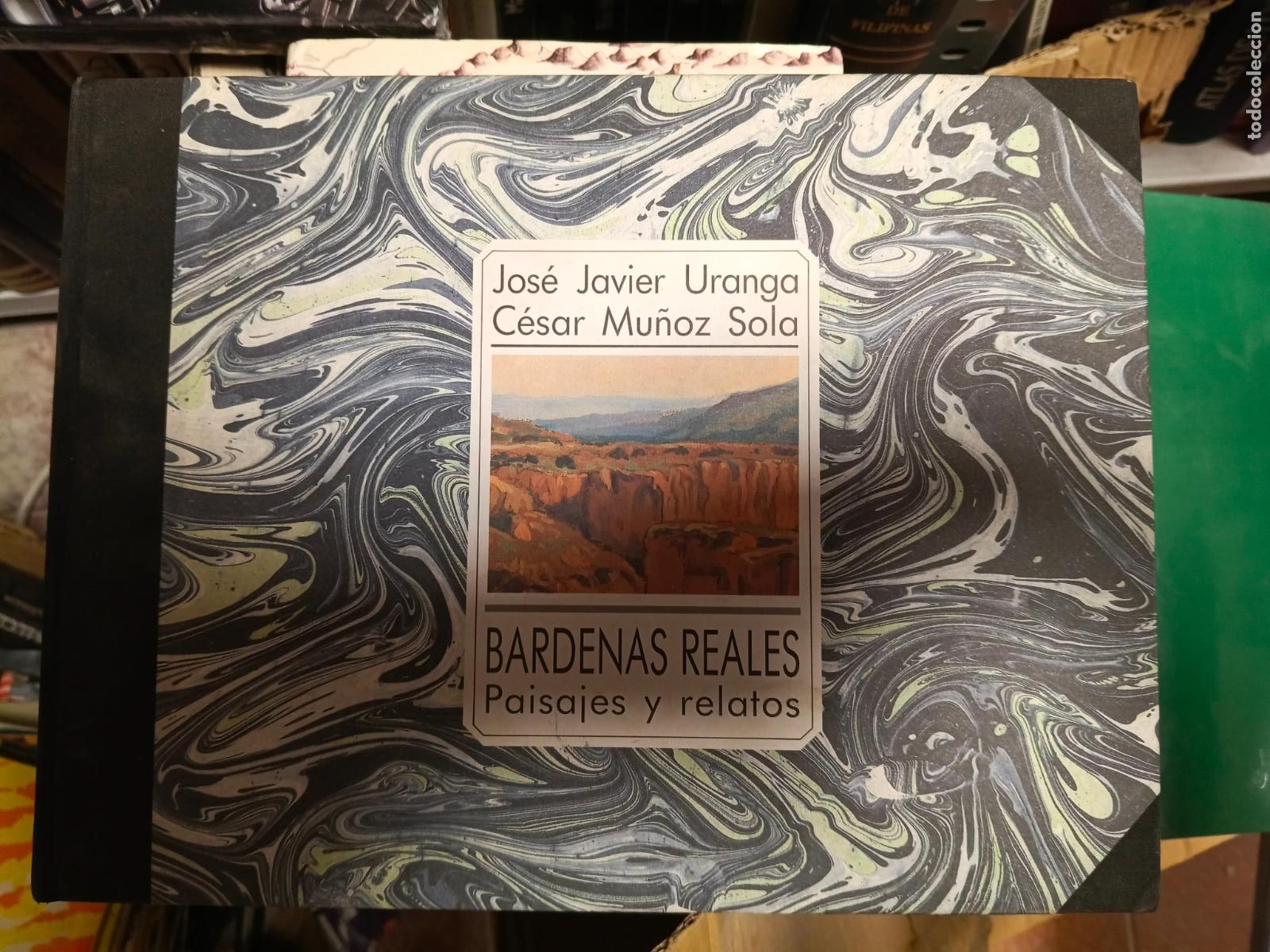 Libros de segunda mano: Bardenas Reales: paisajes y relatos.- Uranga, Jos&eacute; Javier