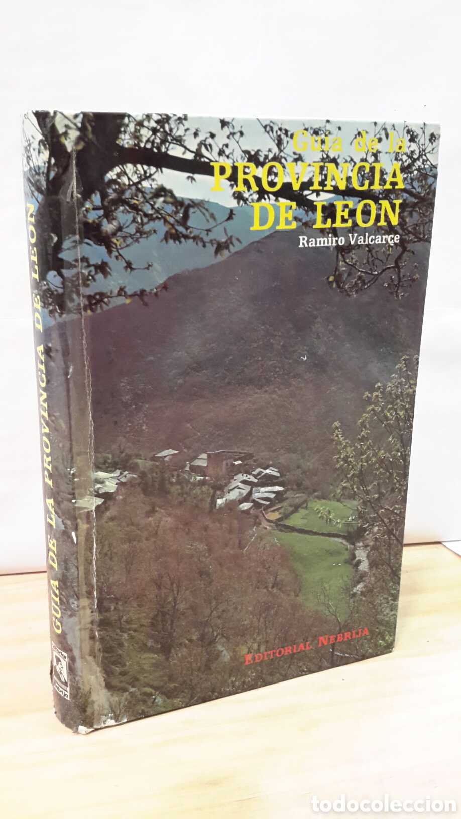 Livros em segunda m&atilde;o: Ramiro valcar&ccedil;e - Guia de la provincia de Leon