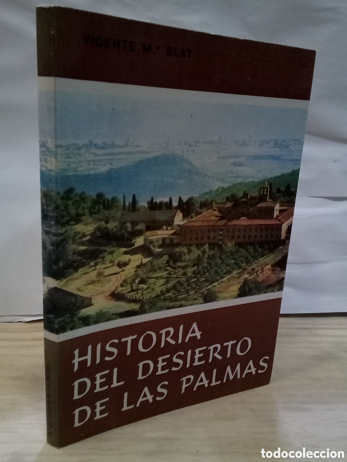 Gebrauchte B&uuml;cher: Vicente Mar&iacute;a Blat : Historia del desierto de las palmas