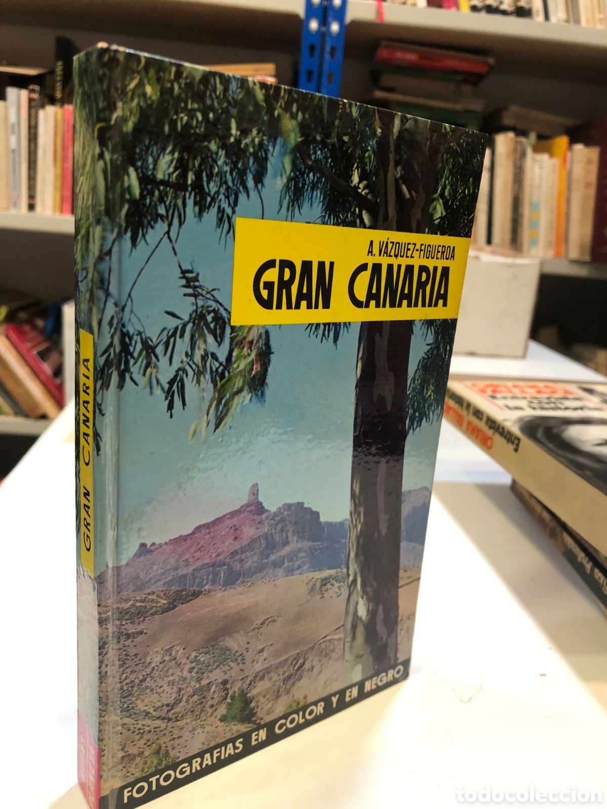 Livres d'occasion: Gran Canaria - A. V&aacute;zquez-Figueroa