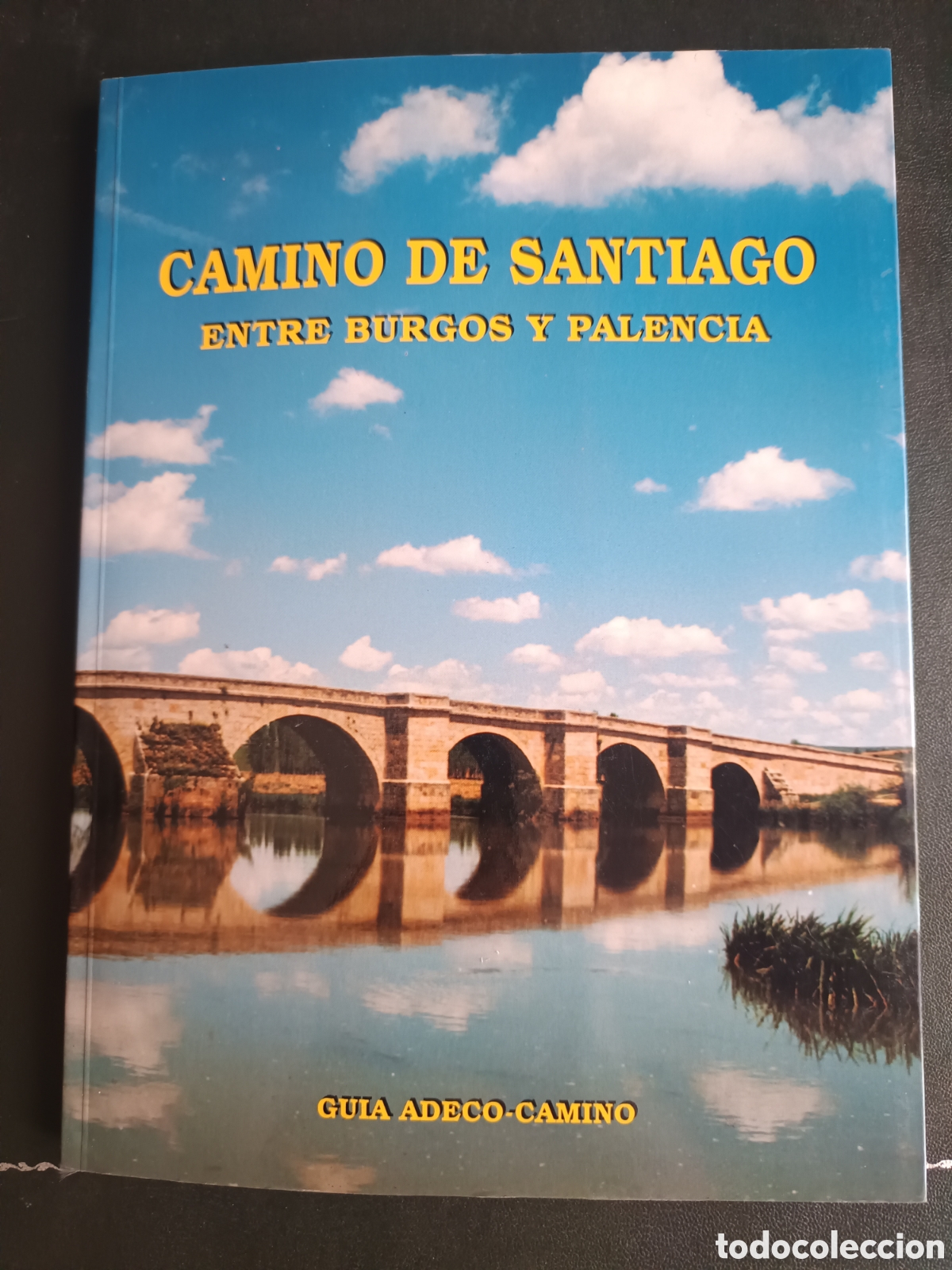 Libros de segunda mano: Camino de Santiago entre Burgos y Palencia