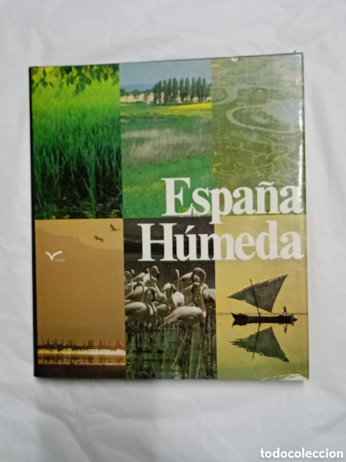 Gebrauchte B&uuml;cher: Espa&ntilde;a h&uacute;meda incafo 1981