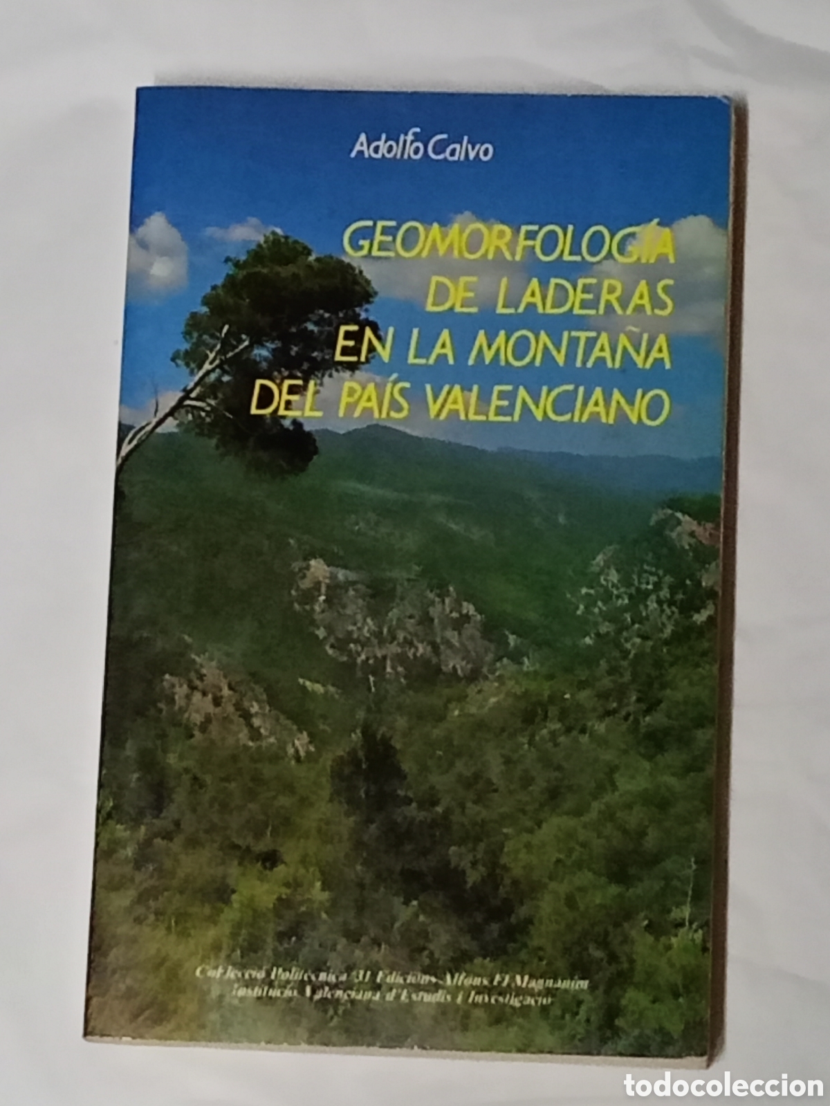 Libros de segunda mano: Adolfo Calvo Cases GEOMORFOLOGIA DE LADERAS EN LA MONTA&Ntilde;A DEL PAIS VALENCIANO