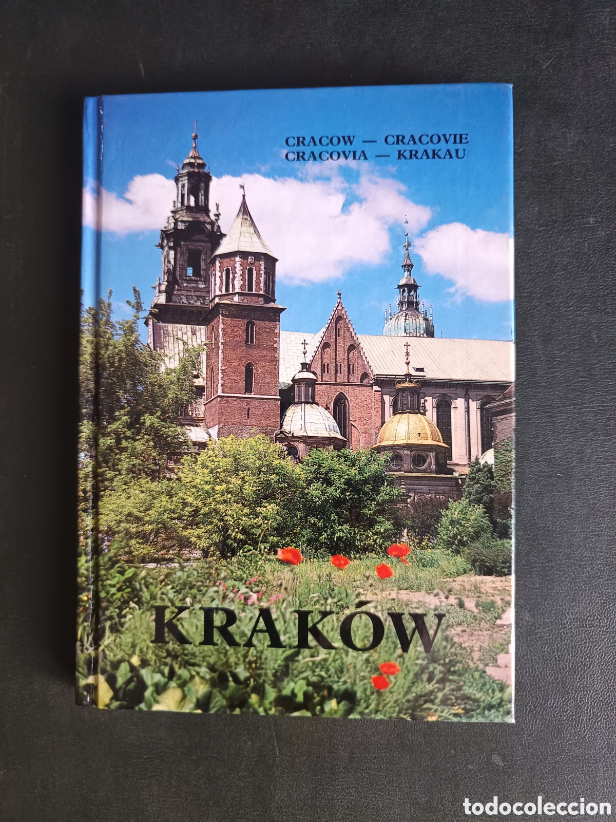 Libros de segunda mano: Krak&oacute;w Published by Sans date