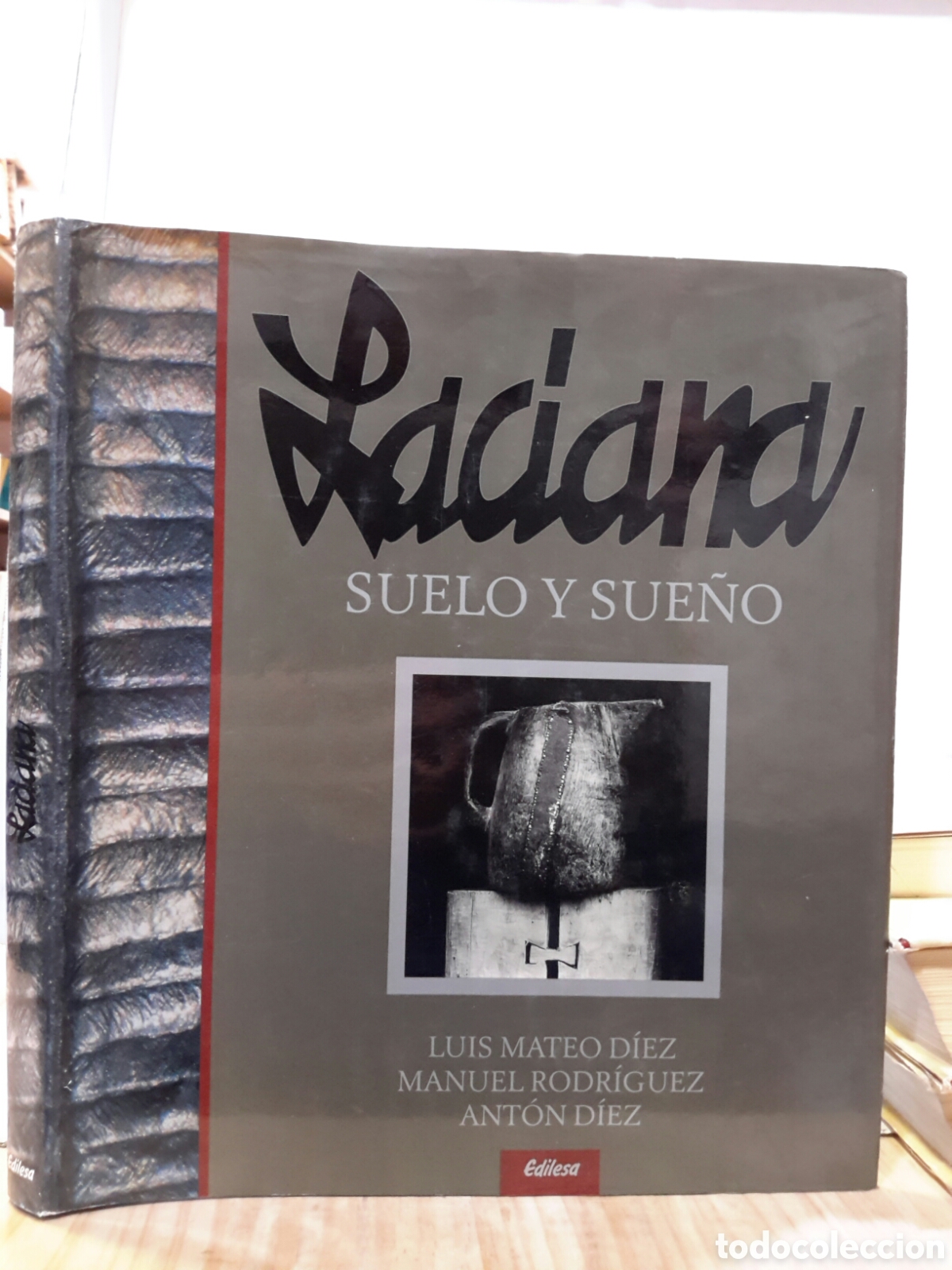 Livros em segunda m&atilde;o: Luis Mateo Diez, Manuel Rodriguez, Anton Diez. Laciana. Suelo y Sue&ntilde;o.