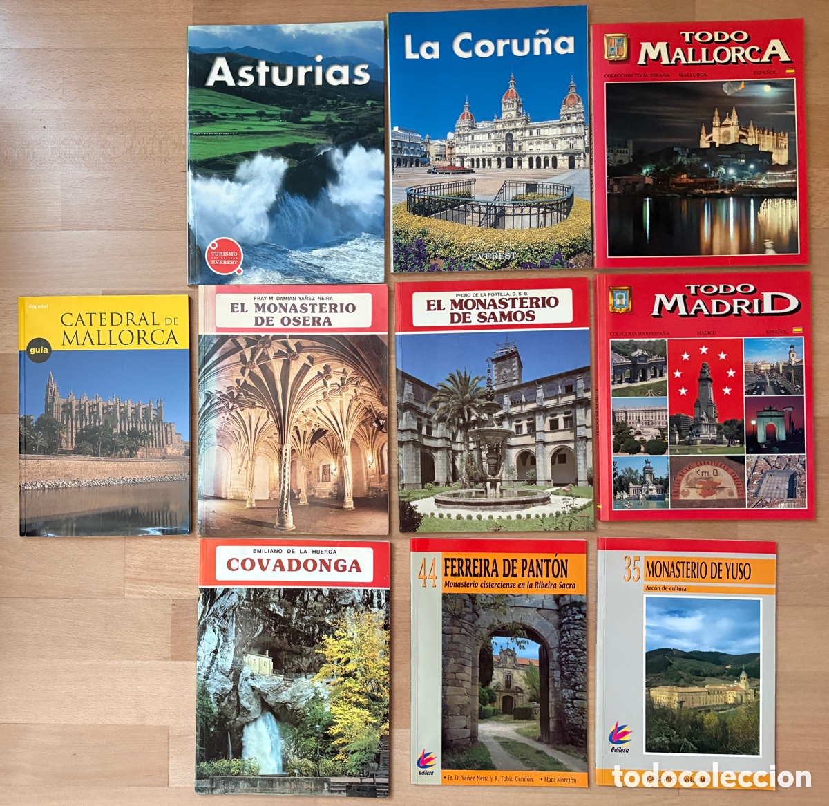 Gebrauchte B&uuml;cher: (L292) 10 libros gu&iacute;as tur&iacute;sticas patrimonio Espa&ntilde;a Everest Edilesa