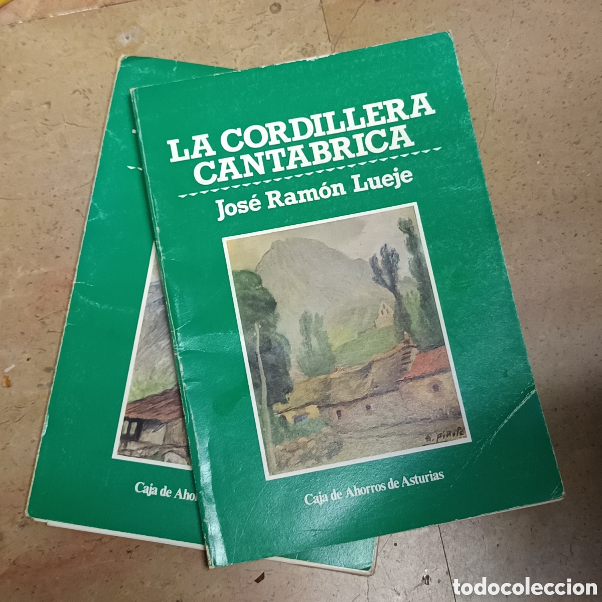 Libros de segunda mano: La cordillera cant&aacute;brica. Jos&eacute; Ram&oacute;n Lueje.