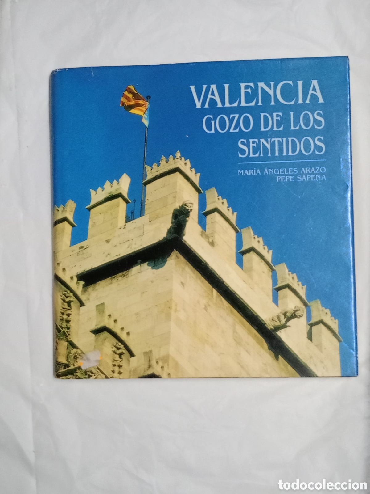 Libri di seconda mano: Valencia gozo de los sentidos Maria Angeles Arazo 1997 . Temas valencianos