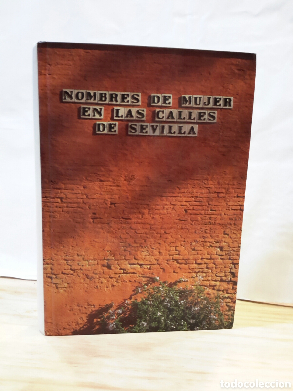Libros de segunda mano: Nombre de mujer en las calles de sevilla