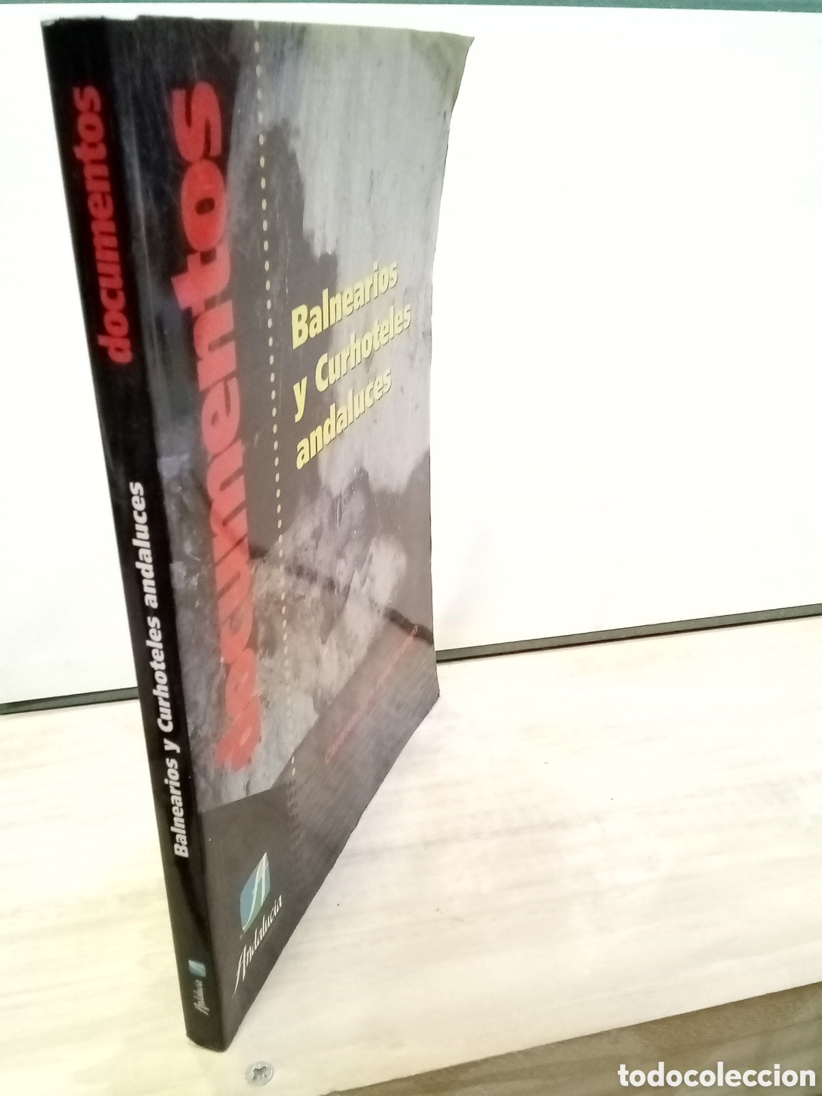 Livres d'occasion: Carmen San Jos&eacute; Arango: Documentos : Balnearios y Curhoteles andaluces