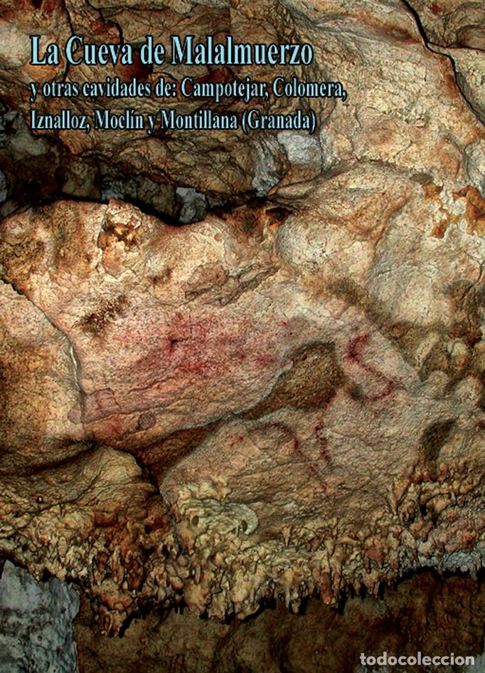 Libros de segunda mano: LA CUEVA DE MALALMUERZO Y OTRAS CAVIDADES... MOCLIN - ESPELEOLOGIA - ARQUEOLOGIA