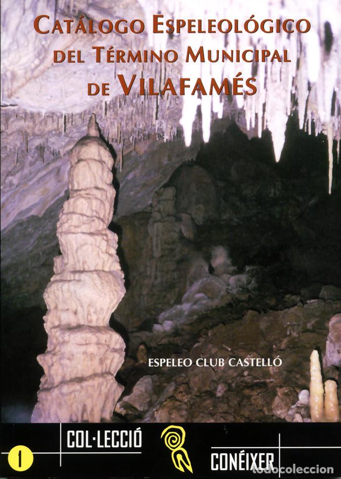 Libros de segunda mano: CAT&Aacute;LOGO ESPELEOL&Oacute;GICO DEL T&Eacute;RMINO MUNICIPAL DE VILAFAM&Eacute;S - ESPELEOLOGIA