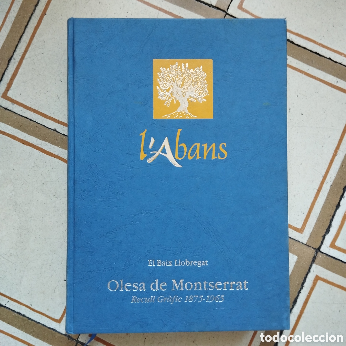 Libri di seconda mano: L'ABANS OLESA DE MONTSERRAT RECULL GR&Agrave;FIC 1875-1965 ELISABET MART&Iacute;NEZ NOGAREDA EFAD&Oacute;S