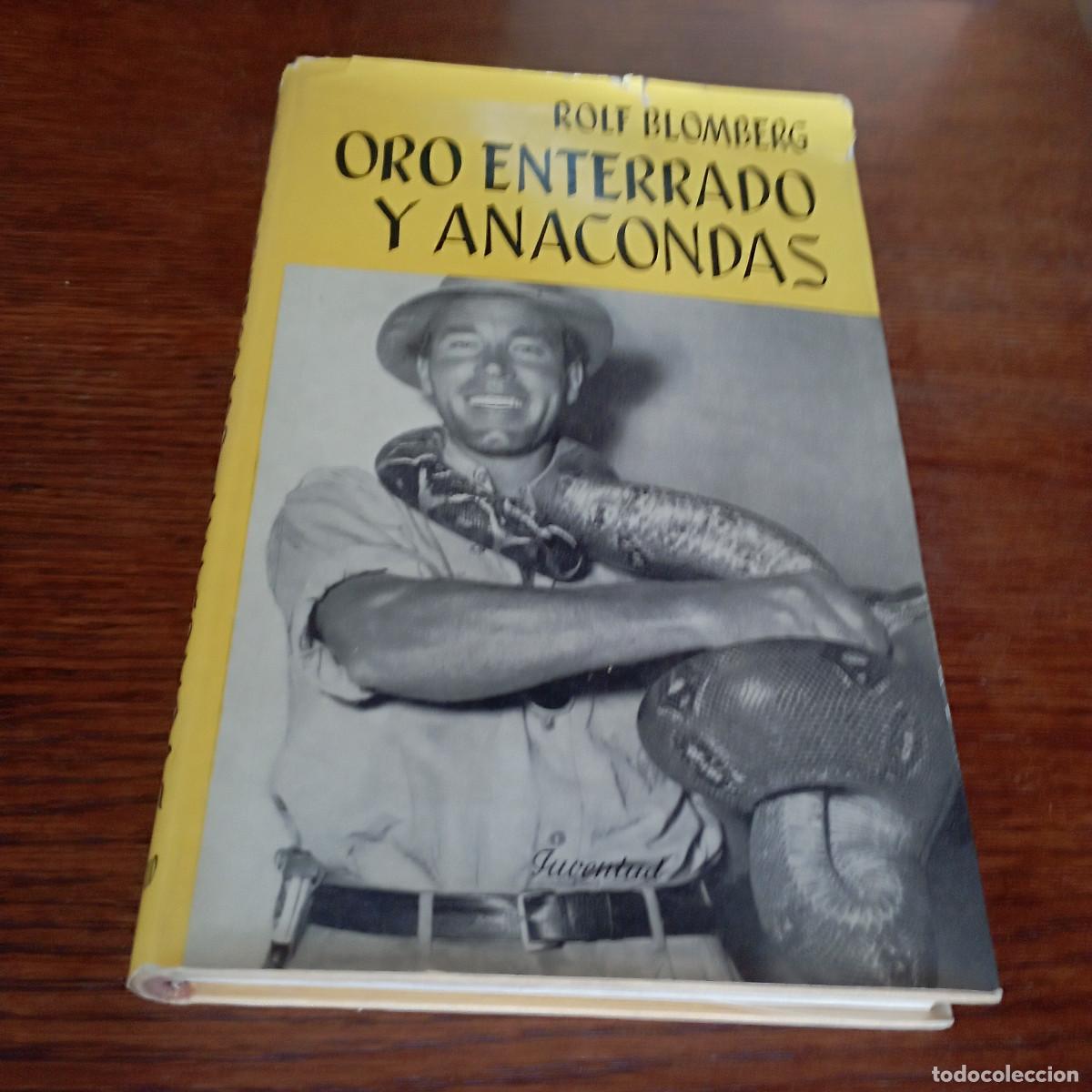 Libros de segunda mano: Oro enterrado y anacondas - Rolf Blomberg - Juventud - NV2