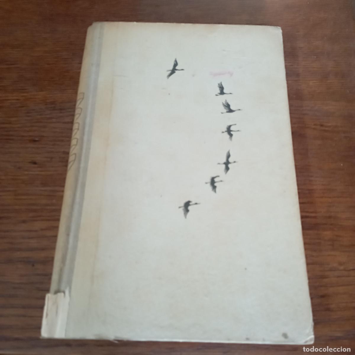 Libros de segunda mano: &iexcl; AL &Aacute;FRICA TRAS LAS AVES DE PASO- Bengt Berg - JUVENTUD 1944