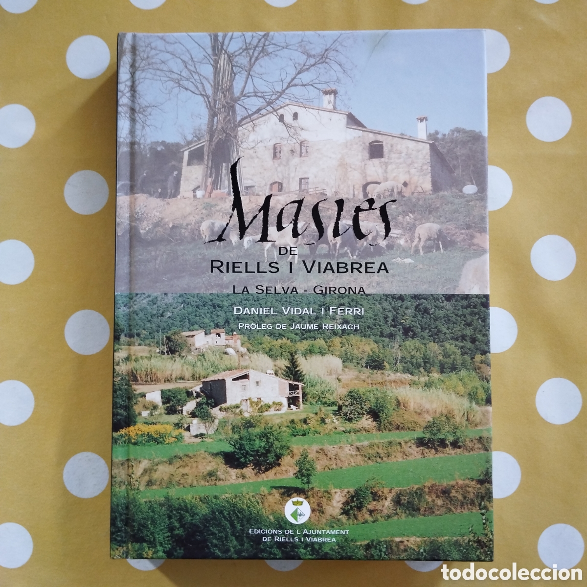 Libros de segunda mano: MASIES DE RIELLS I VIABREA DANIEL VIDAL FERRI LA SELVA GIRONA