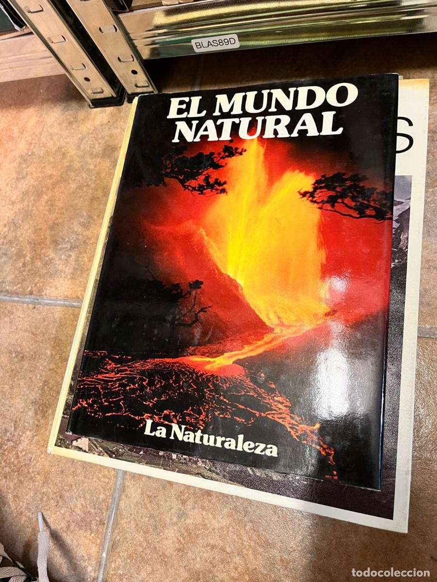Libros de segunda mano: BLAS89D - El mundo natural: La Naturaleza - Varios autores - Time-Life / Folio (colecci&oacute;n El Mundo N