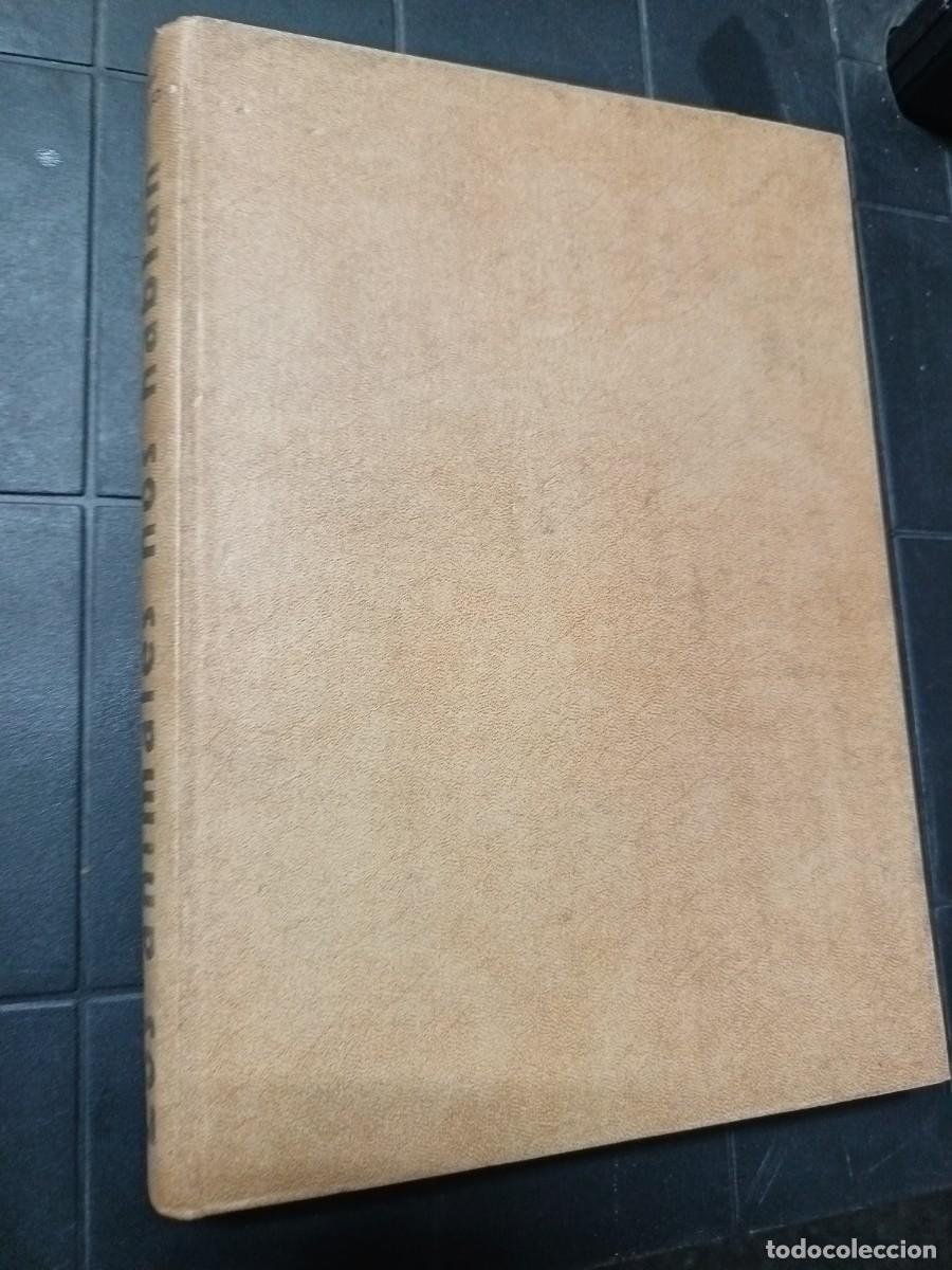 Libros de segunda mano: Los Animales Nos Hablan, Herbert Wendt, ED. Jano