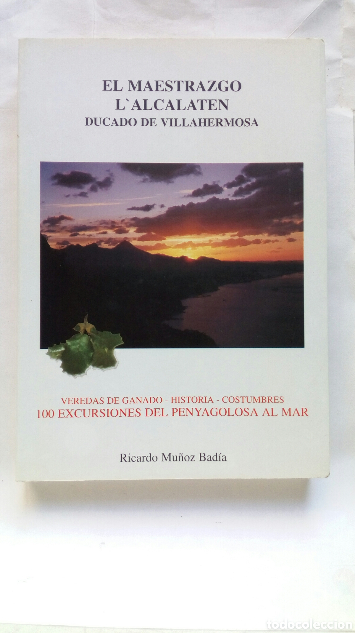 Libros de segunda mano: El Maestrazgo. L'Alcalaten. Ducado de Villahermosa. Ricardo Mu&ntilde;oz Bad&iacute;a. (Incluye mapa desplegable).
