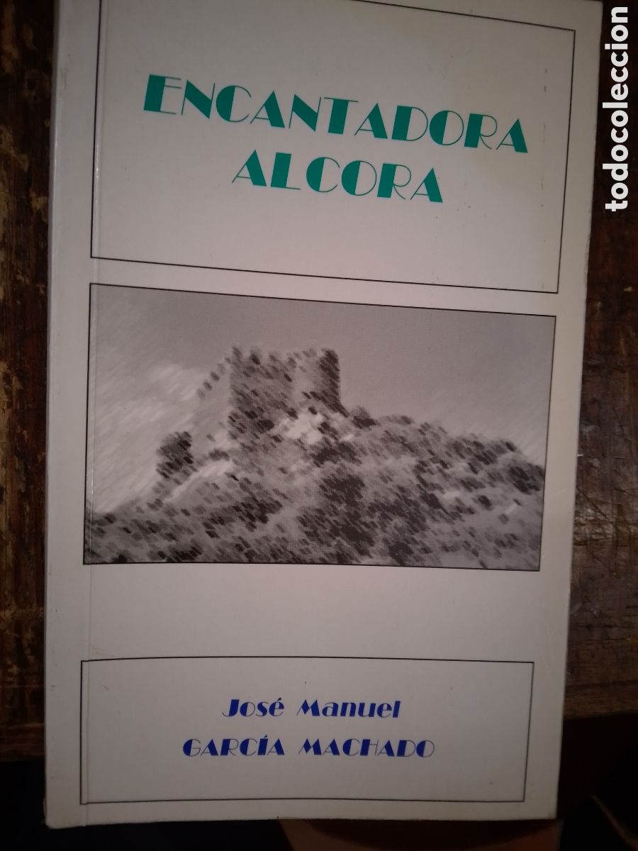 Libros de segunda mano: ENCANTADORA ALCORA. GARCIA MACHADO, JOSE MANUEL. PAPERERIA. 2004