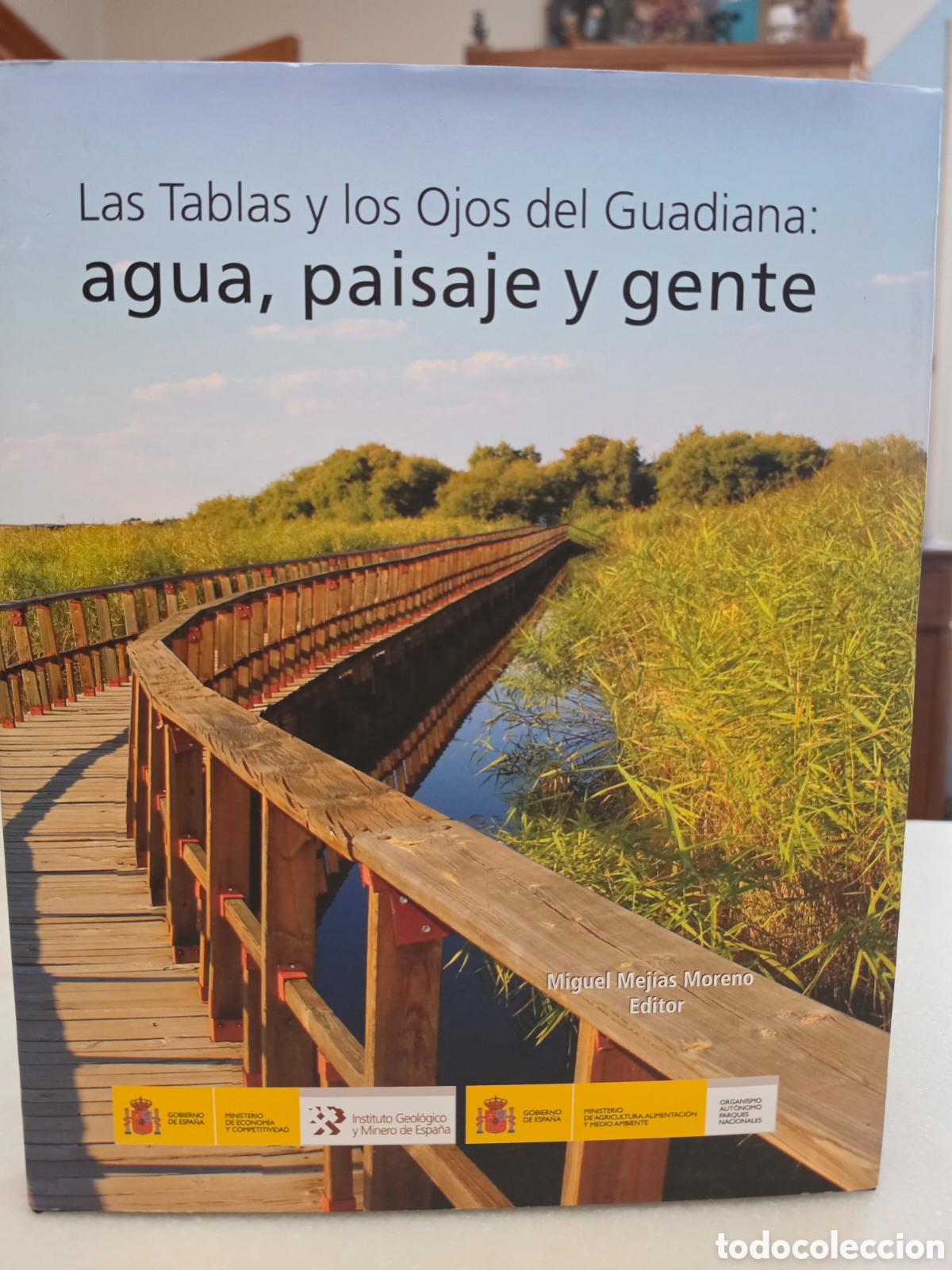 Libros de segunda mano: LAS TABLAS Y LOS OJOS DEL GUADIANA: AGUA, PAISAJE Y GENTE. MIGUEL MEJIAS MORENO, EDITOR. MADRID 2014