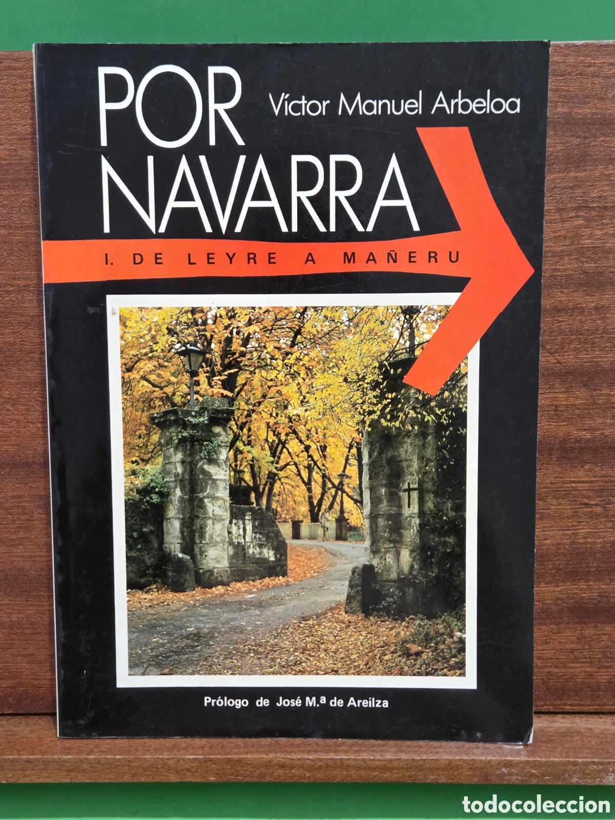 Libros de segunda mano: &rdquo;&rdquo;POR NAVARRA&rdquo;&rdquo;...I.. DE LEYRE A MA&Ntilde;ERU...VICTOR MANUEL ARBELOA...PR&Oacute;L. DE J. M. DE AREILZA........