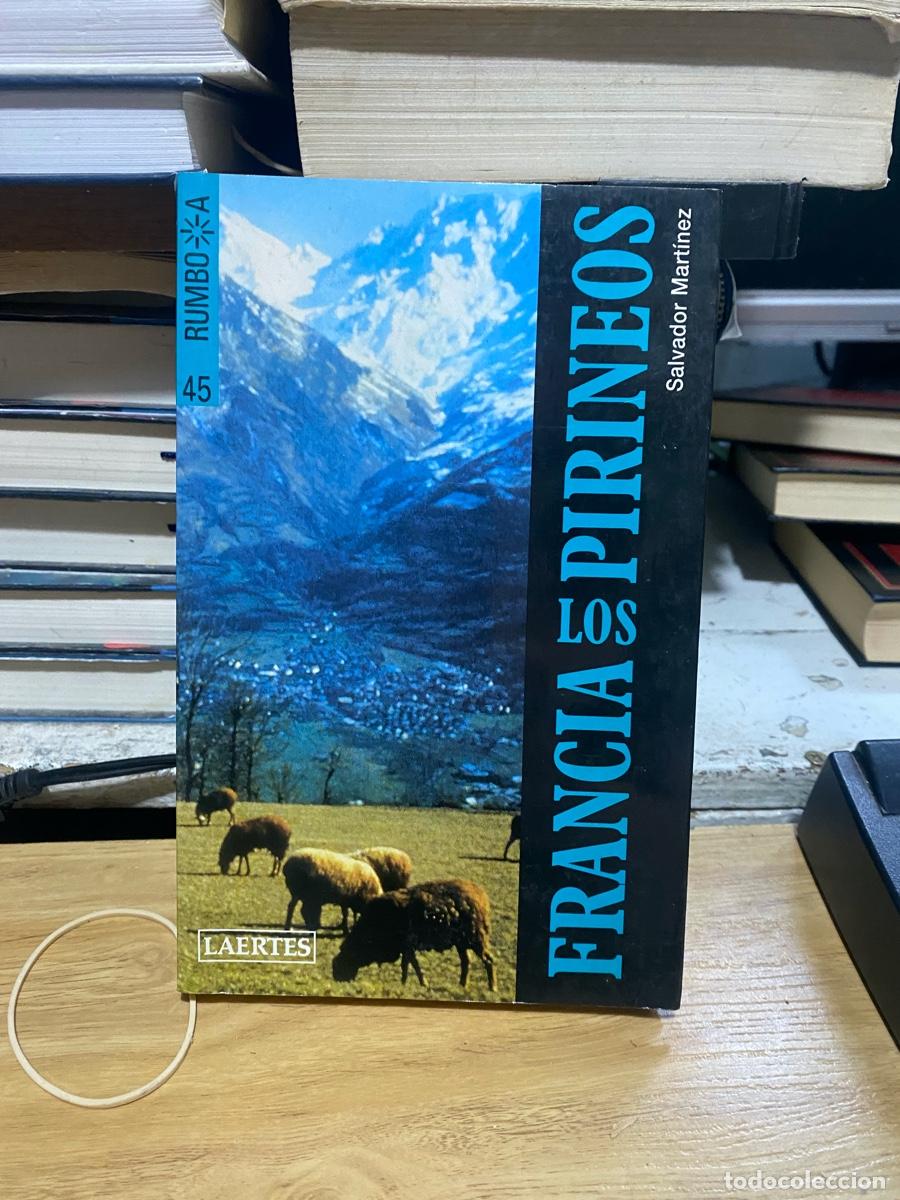 Libros de segunda mano: FRANCIA LOS PIRINEOS, SALVADOR MARTINEZ, EDT. LAERTES