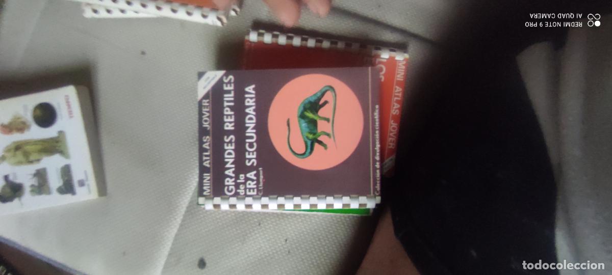 Libri di seconda mano: Mini atlas Jover. Grandes reptiles de la era secundaria