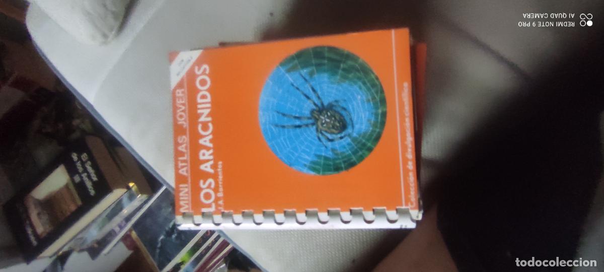 Libri di seconda mano: Mini atlas Jover. Los aracnidos