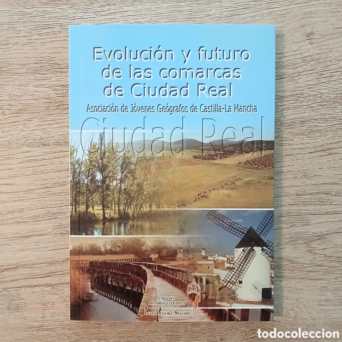Libros de segunda mano: Evoluci&oacute;n y futuro de las comarcas de Ciudad Real