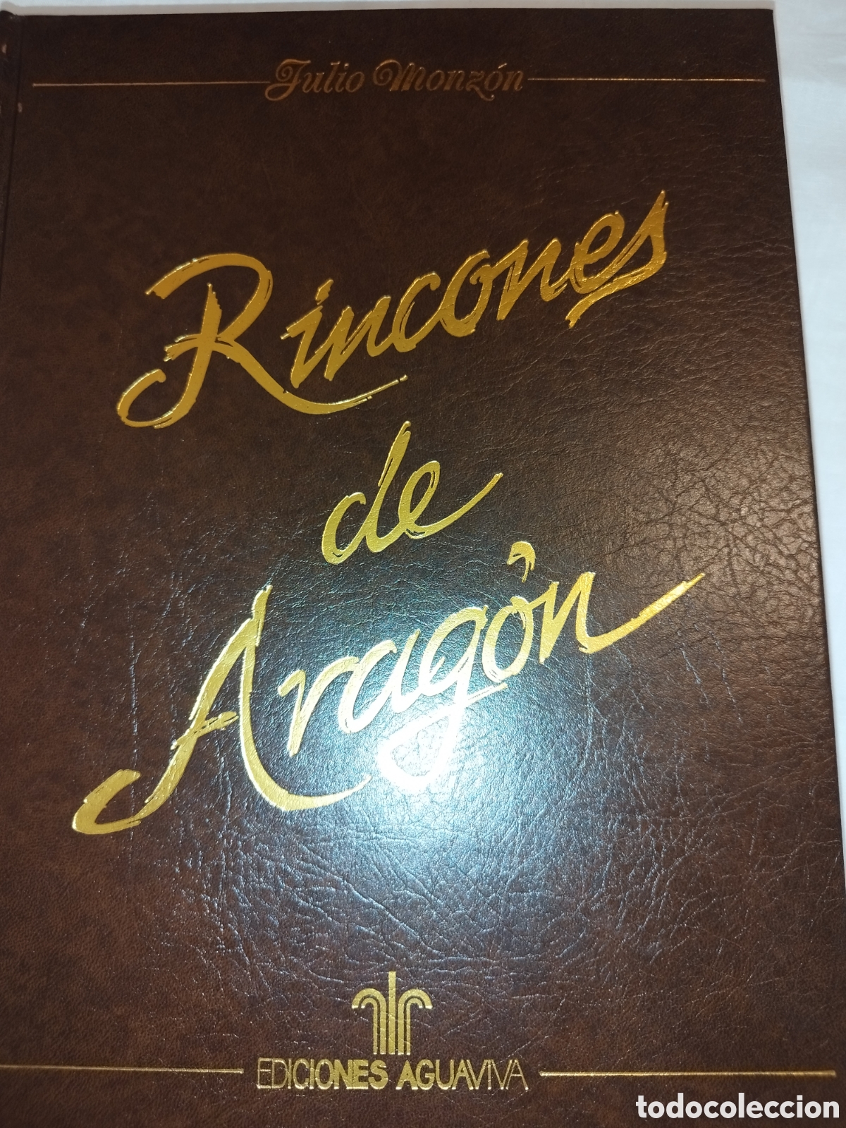 Libros de segunda mano: RINCONES DE ARAGON.- JULIO MONZON. ED. AGUAVIVA, 1988. PRIMERA EDICION. MUY ILUSTRADO.