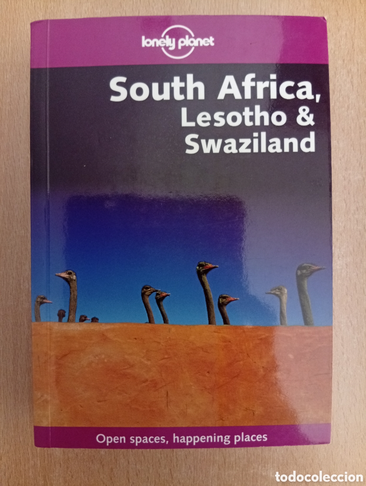 Libros de segunda mano: LONELY PLANET/South Africa, Lesotho & Swaziland (2002)