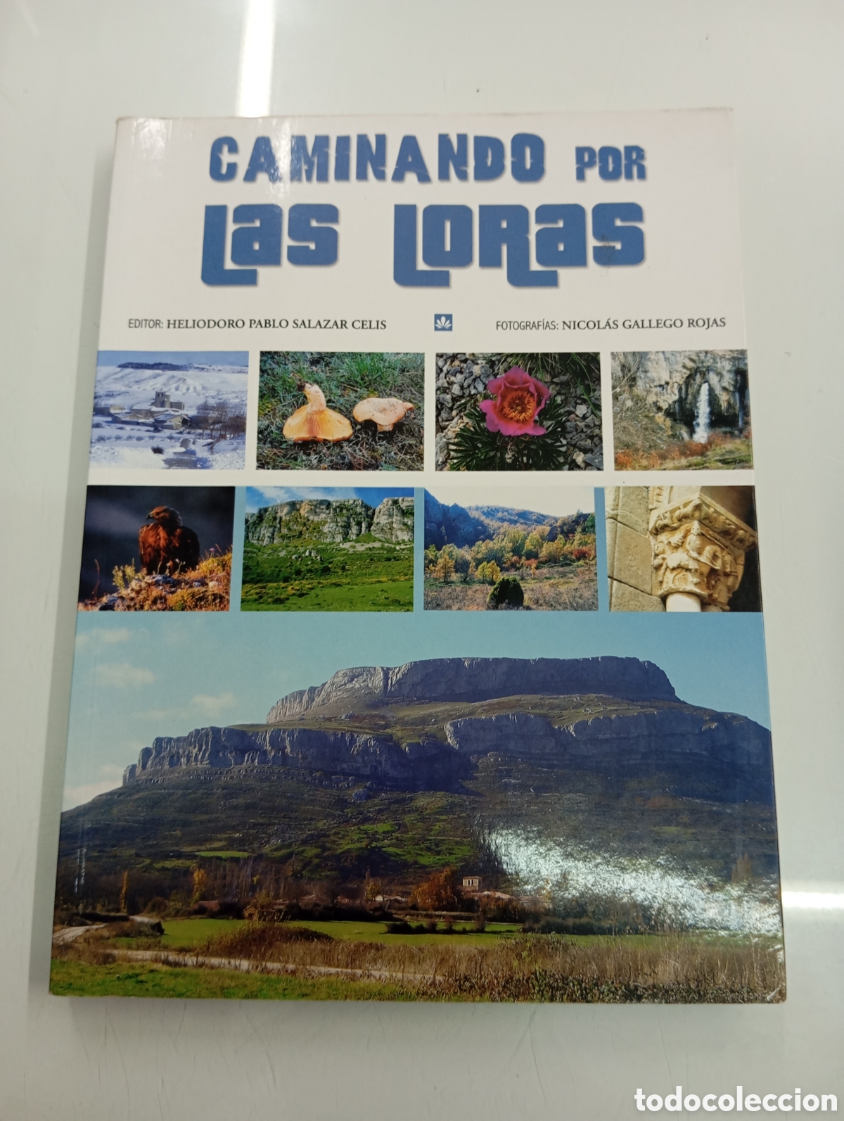 Libros de segunda mano: Caminando por las Loras Heliodoro Pablo Salazar Celis BURGOS PALENCIA Geologia Flora Fauna