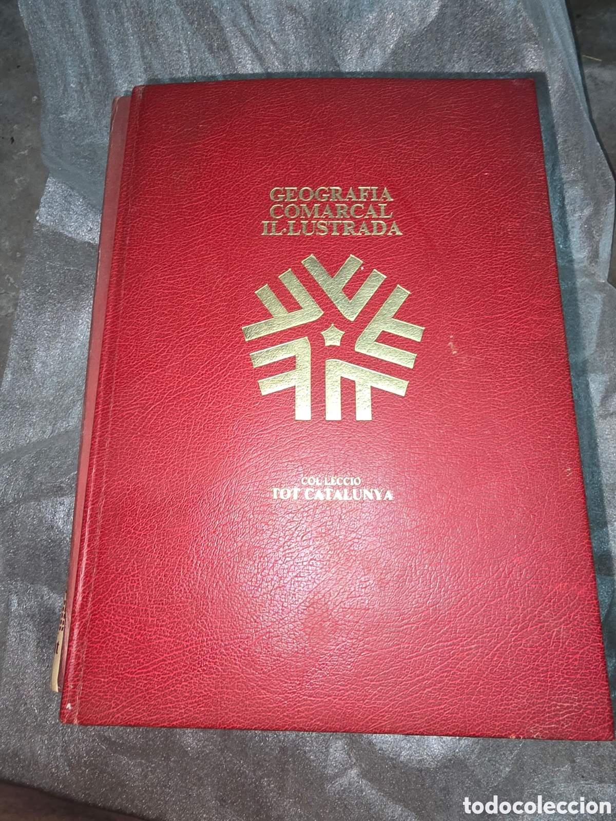 Libros de segunda mano: ​Libro Geograf&iacute;a Comarcal Il&middot;lustrada - Tot Catalunya (Salvat) - Para restaurar / leer