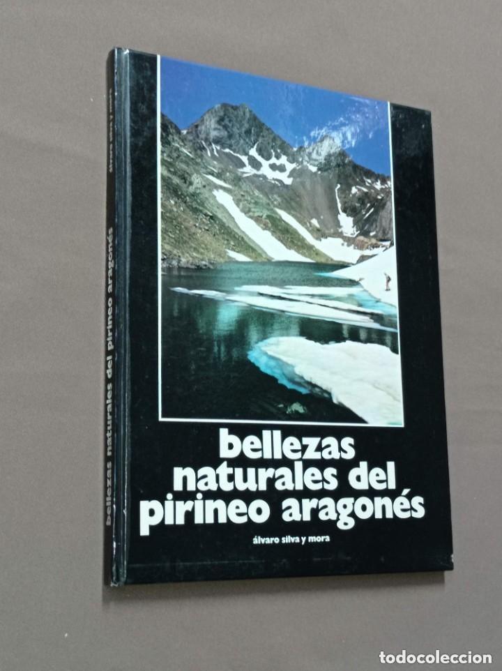 Libros de segunda mano: BELLEZAS NATURALES DEL PIRINEO ARAGON&Eacute;S. &Aacute;lvaro SILVA Y MORA. CAZAR, 1978. VER ++++