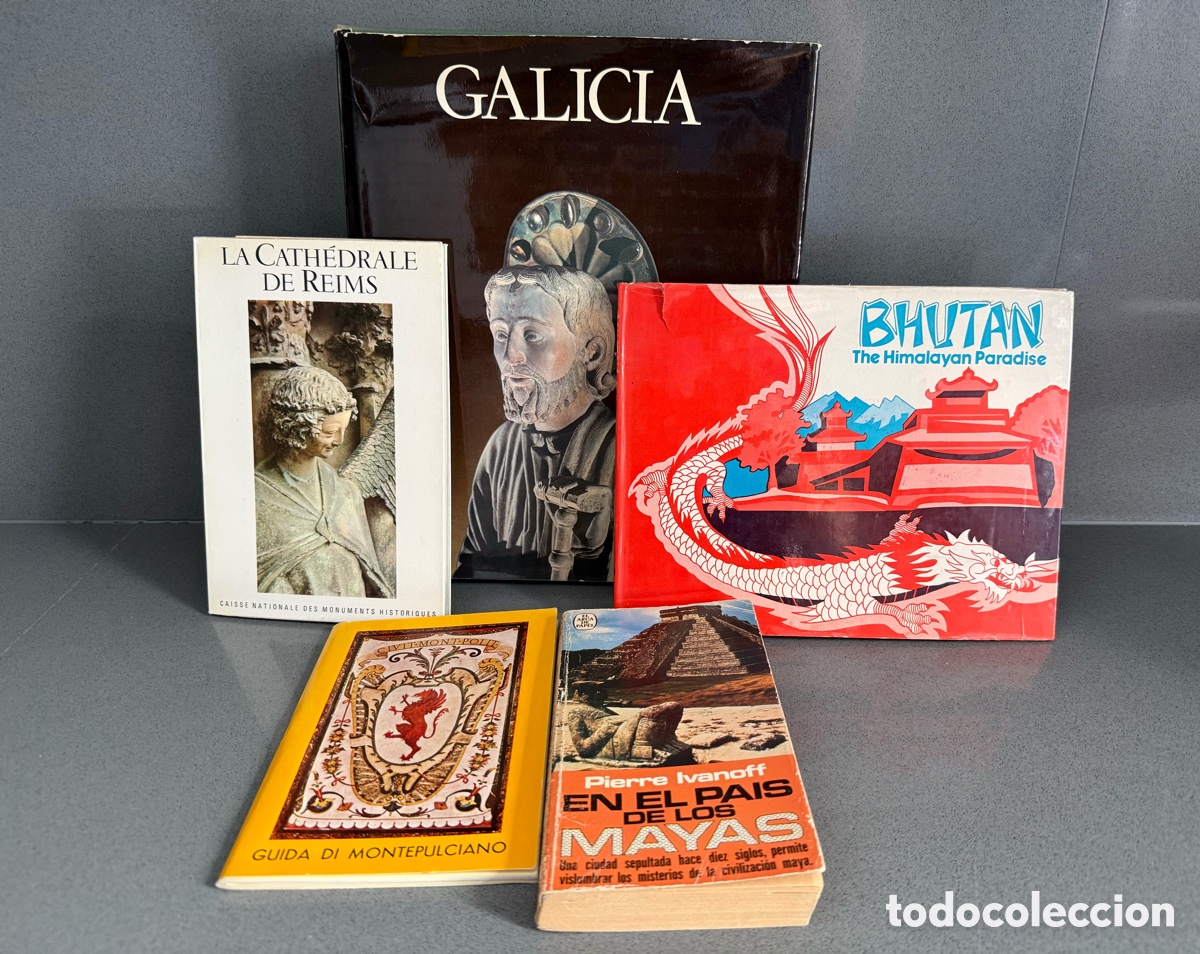Libros de segunda mano: LOTE LIBROS DE VIAJE GALICIA ED. NOGUER - ITALIA- MONTEPULCIANO BHUTAN HIMALAYA - MAYAS - ILUSTRADO